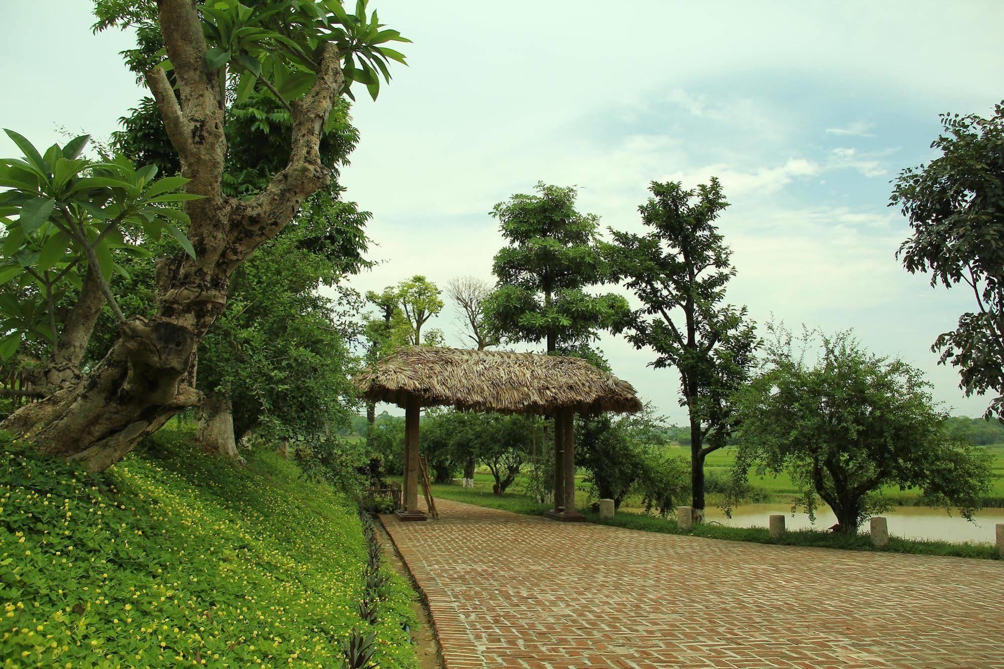 Moon Garden Homestay Son Tay Exterior photo